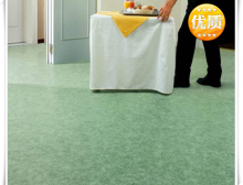 潔弗樂美寶琳野心 HD 地板