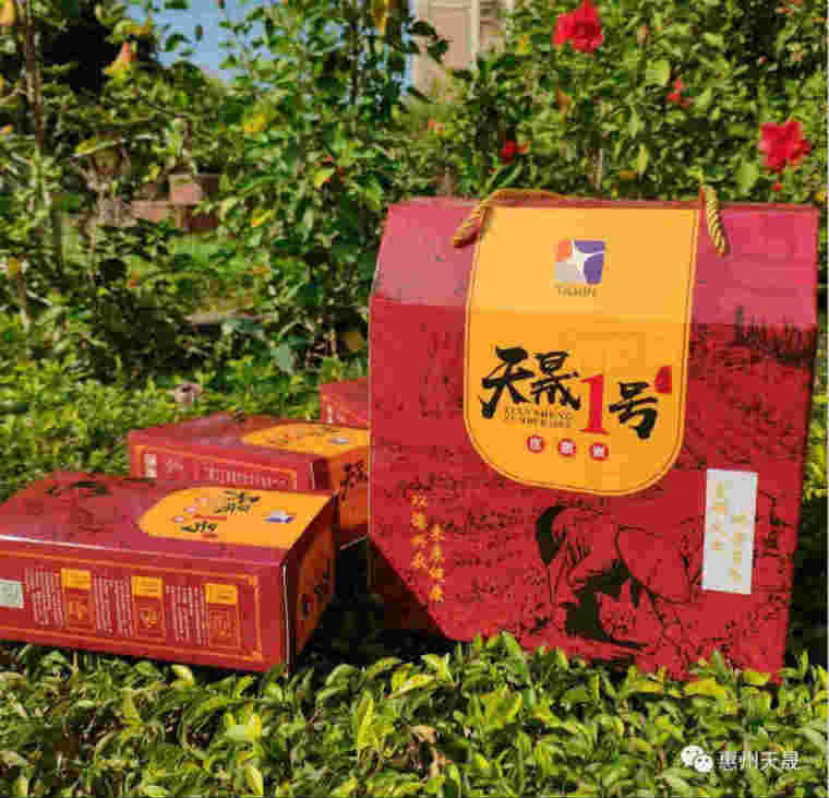 ����һ̖������ ȫ��������